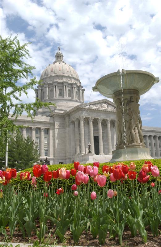 Missouri State Capitol in the Spring. There are tulips in front of it.